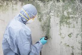 Best Water Damage & Mold Remediation  in Fairmont City, IL